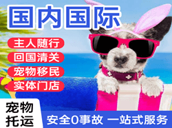 安顺黄果树航空运输国际宠物托运 【国